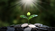 Implementations of Green New Deals are faltering due to economic pressures, but the movement could be the just transition society needs